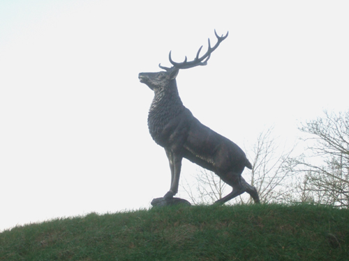 Bronze Stag